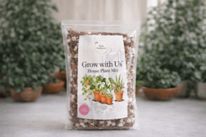 Grow With Us™ Premium Plant Substrate - Handcrafted Aroid & Tropical Mix